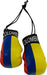 Lunch Money Mini Guantes De Boxeo Con Bandera De País De Colombia Para 0