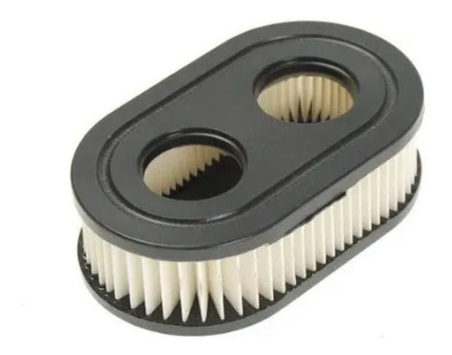 Filtro De Aire Briggs & Stratton Mod 550e 450 625e,ex 798452 1