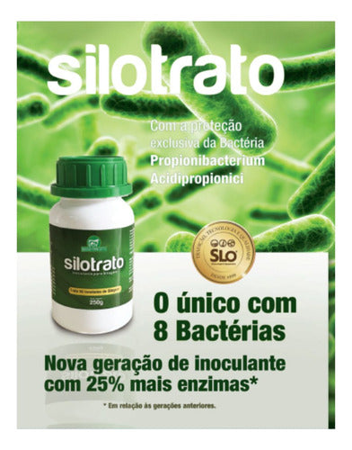 Kit Silotrato Liofilizado 100g Com 2 Un 1