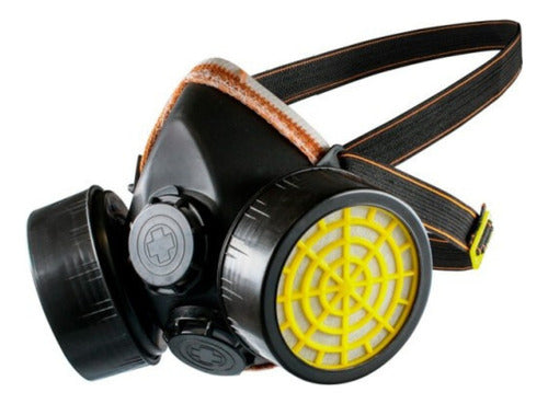 Davidson Double Filter Gas Mask for Dust, Fumigation, and Paint Vapors 0