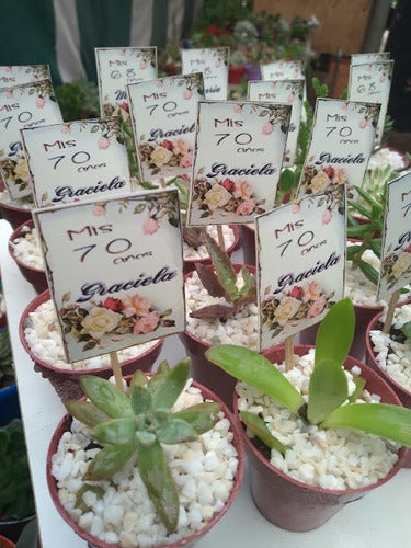 10 Succulents Souvenirs N° 6 Customized 7