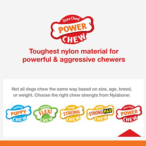 Nylabone Dura Chew Power Chew Textured Bone Flavor Medley Small 3