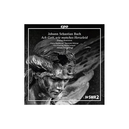 Bach.J.S. / Worner / Giebelhausen / Bernardini Ach Gott Wie Manch 0