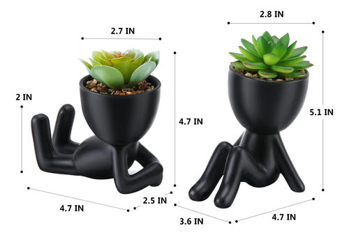 Woodword Suculentas Falsas, Mini Plantas Suculentas Negro, 2 6