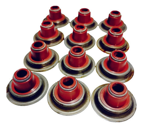 Ten Up Valve Seals with Cap for Torino and Rambler 0