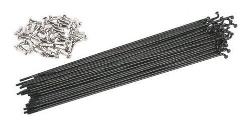 Rayos Negros Acero Inoxidable 280mm Con Niples - 36 Unidades 0