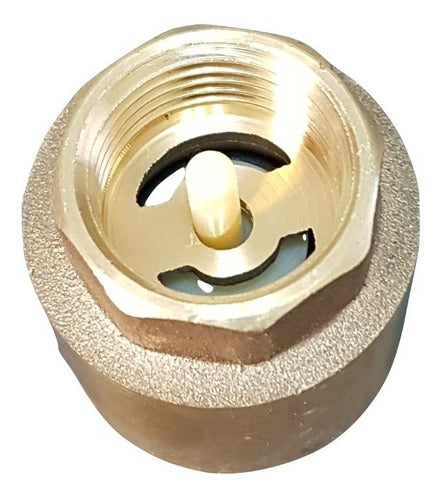 Valforte 1/2 Inch Bronze Check Valve for Water Pumps 1