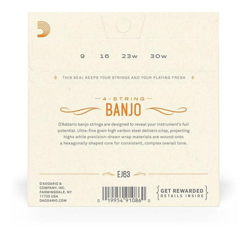 Encord Banjo Tenor .009 D'addario Nickel-plated Steel Ej63 2