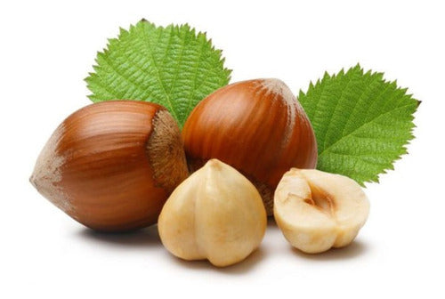 Uriburu Frutos Secos Whole Hazelnuts! Half a Kilo! 2