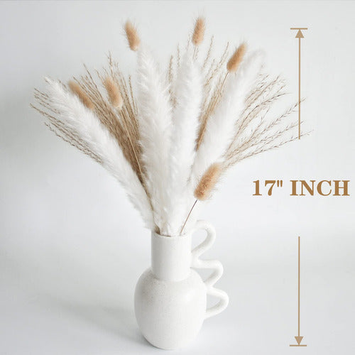 100 Natural Dried Pampas Grass Decor Set 43cm 2