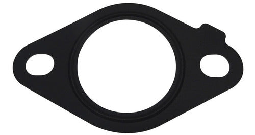 Tajiro Water Connector Seal for Frontier 2.5 DCI 0