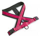 Rascals Premium Padded Dog Harness Xs-S 0