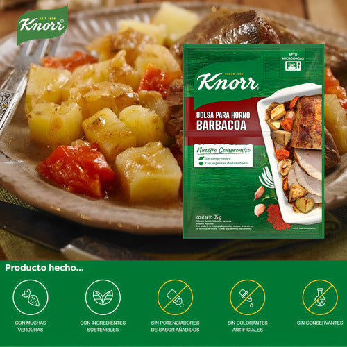 Knorr Barbecue Flavor Cooking Bags 15u X 25g 4