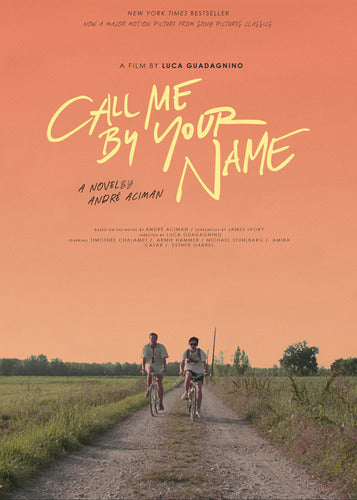 FanPosters Call Me By Your Name Movie Posters 120x80 2