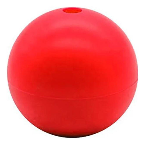 Pets Plast Durable Hollow Fillable Ball for Dogs L 4