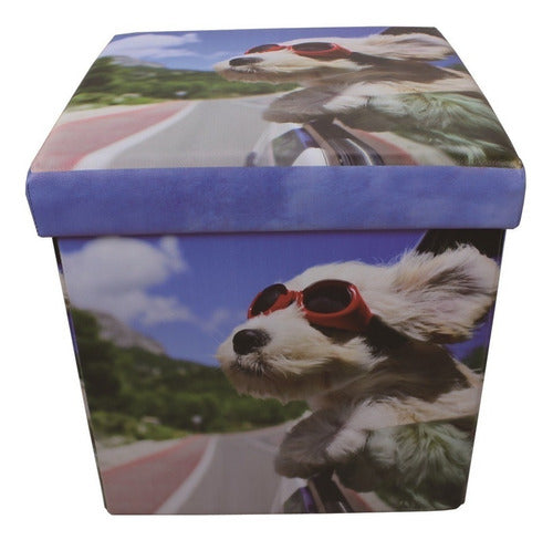 Puff Baul Infantil Cubo Plegable - 38x38x38 Diseño Dog 7793 0