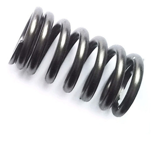 Kawasaki 2 Valve Spring Set for KXF 250 3