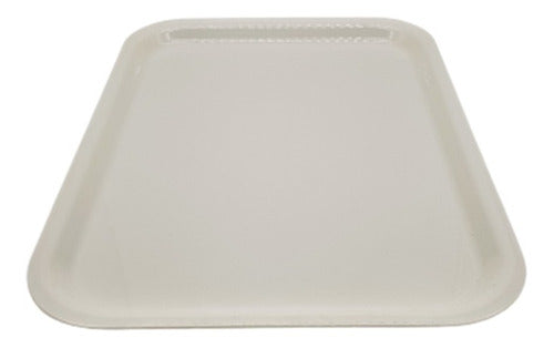 Aloha Large Melamine Breakfast Tray with Modern Design 0