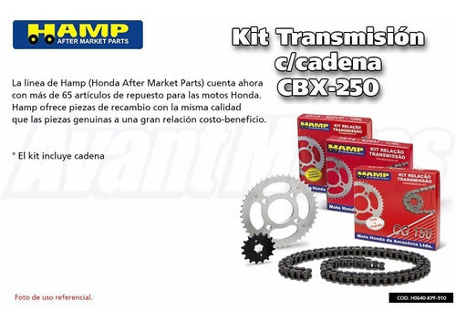 Honda CBX 250 Twister Hamp Avant Transmission Chain Kit 1