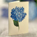 ~? Freshcut Paper Pop Up Cards, Nantucket Hydrangeas, 12 Inc 3