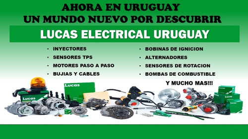 Kit Bomba De Nafta Lucas 24v Univ. Externa Para Carburador 3