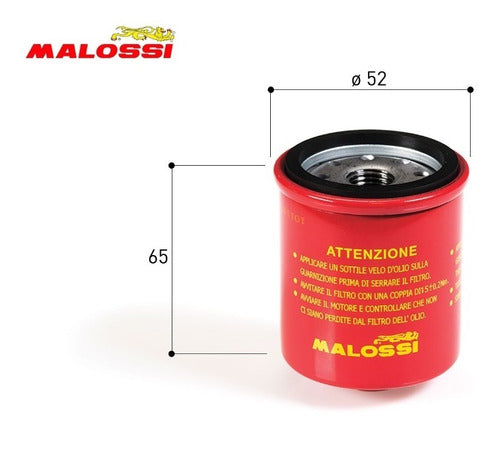 Malossi Oil Filter - Piaggio Beverly 250 1