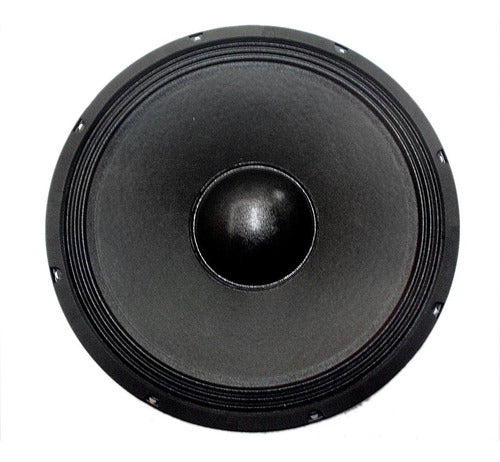 Foxtex 15 Inch Woofers - Model FPA-15E 4