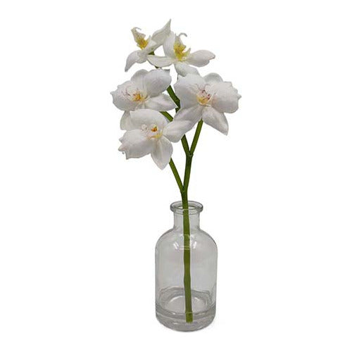 DeSillas Artificial Orchid in Glass Vase 0