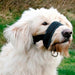 Trixie Nylon Loop M-L Muzzle for Dogs and Puppies - Bulldog Companion 3