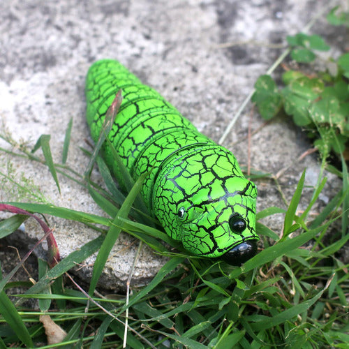 Tipmant RC Bug Control Realistic Inchworm Remote Control Toy 4