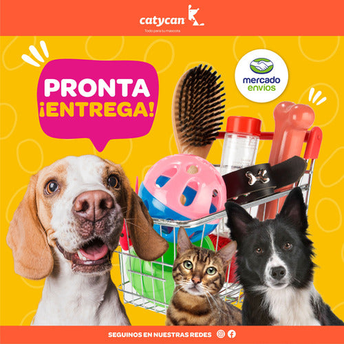 Conjunto Pretal Y Correa Para Perro  L 2