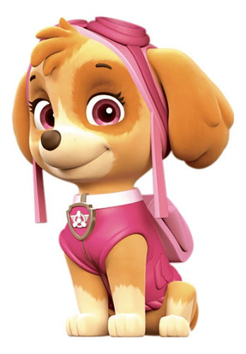 Kit Imprimible Carmelo Video Invitation Card - Paw Patrol Skye 0