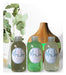 Mon Lieu Humidifier + Pack of 3 Camphor and Eucalyptus Essences 1