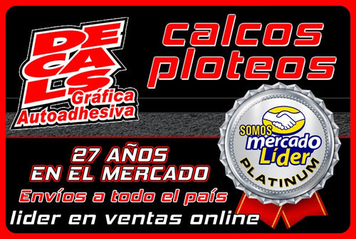 Peugeot Calco Decoracion 405 Rc Juego 1