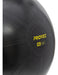 Proyec Swiss Gym Ball 65 cm + Fitness Gym Inflator 23