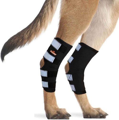 NeoAlly Dog Back Leg Braces - Protects Against Injuries - Black XS Pair 0