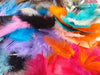 Assorted Colorful Feathers 10 Cm 0