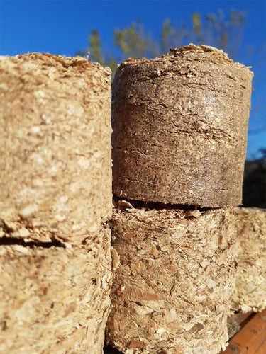 Briquetas De Biomasa Bolsa De Eco-brik  Leña Ecológica 1