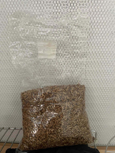 5 Units of 1kg Sterilized Grain for Inoculation 1