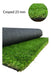 Ambiance Premium Synthetic Grass 25 Mm (2.60 M2) 1