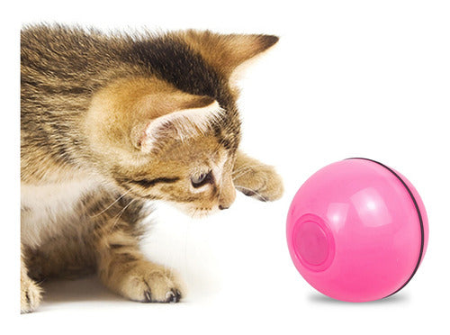 Bola Interativa De Brinquedos Recarregáveis Para Gatos E Ani 0