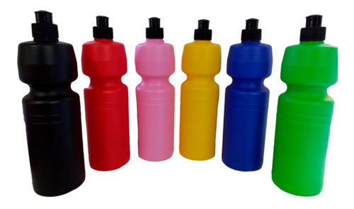 13 Plastic Bottles Souvenirs 750cc Smooth Bottles 0