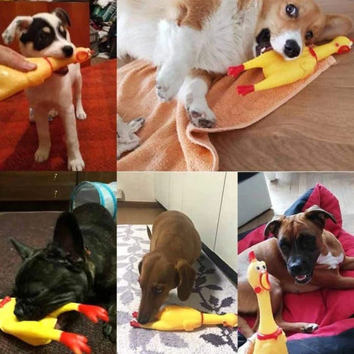 Kingdom Pet Shop Chicken Toy for Dogs with Squeaker Sound 4