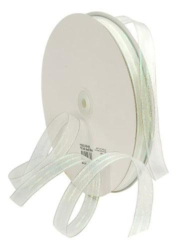 Morex Ribbon Iridescent Mesh Ribbon with Wire 0