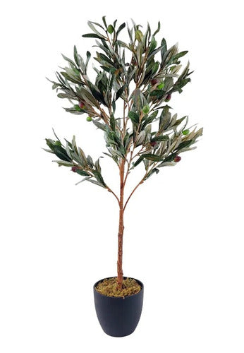 Árbol De Olivo Semi Artificial Premium 0