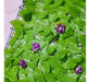 Artificial Climbing Plant Roll with Grass Leaves Wall Fence Flowers 4