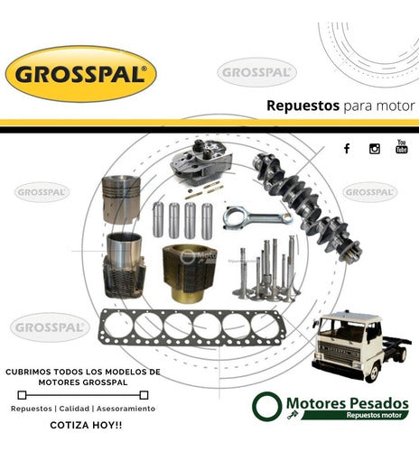 Repuestos De Motor Para Grosspal | Todos Los Modelos 1