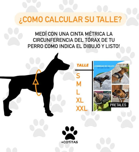 Mascotitas Pretal Regulable Para Perros Grandes/Pequeños +Cotitas 3