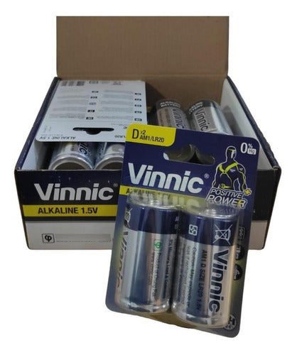 Vinnic D Alkaline Batteries - 16 Units Long-Lasting Energy 0