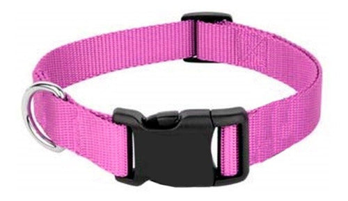 Nylon Collar and Leash Set for Dogs and Cats Various Sizes 42